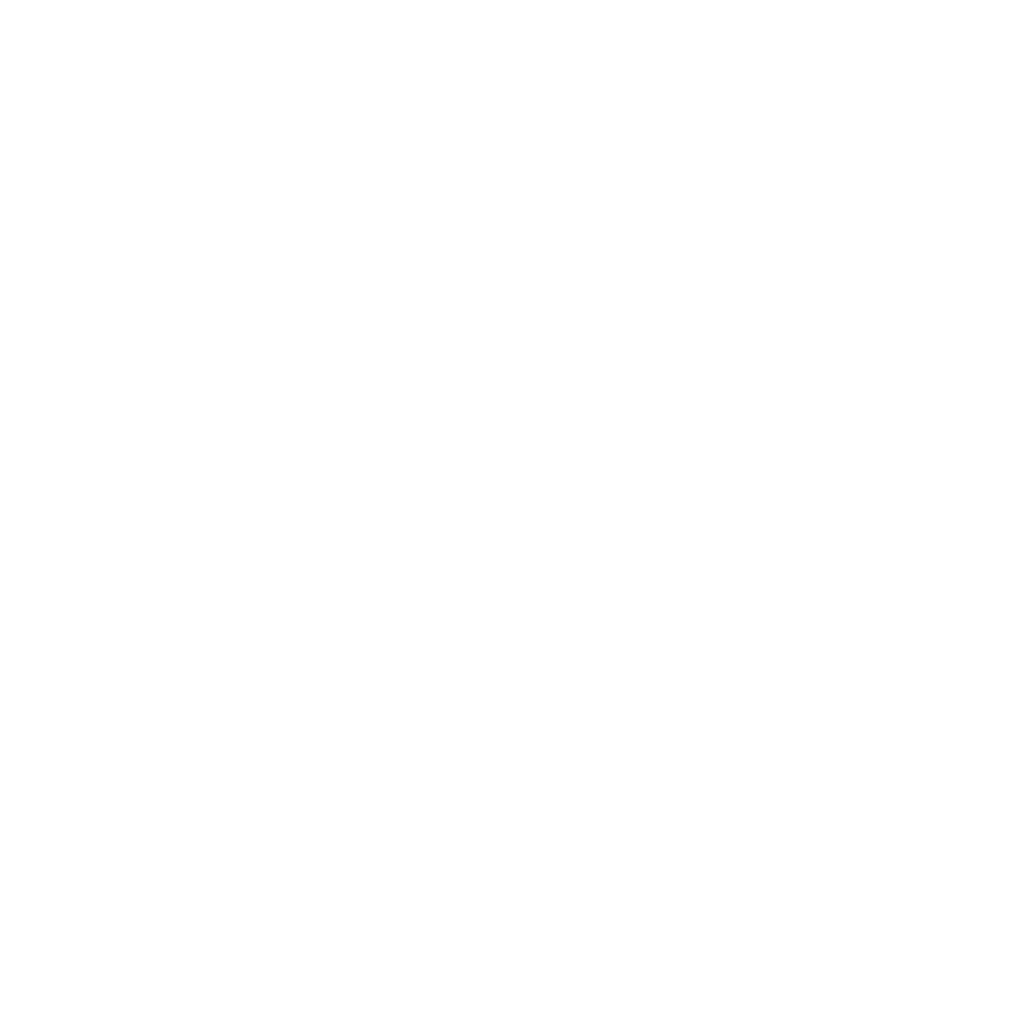 Naudin Detailing